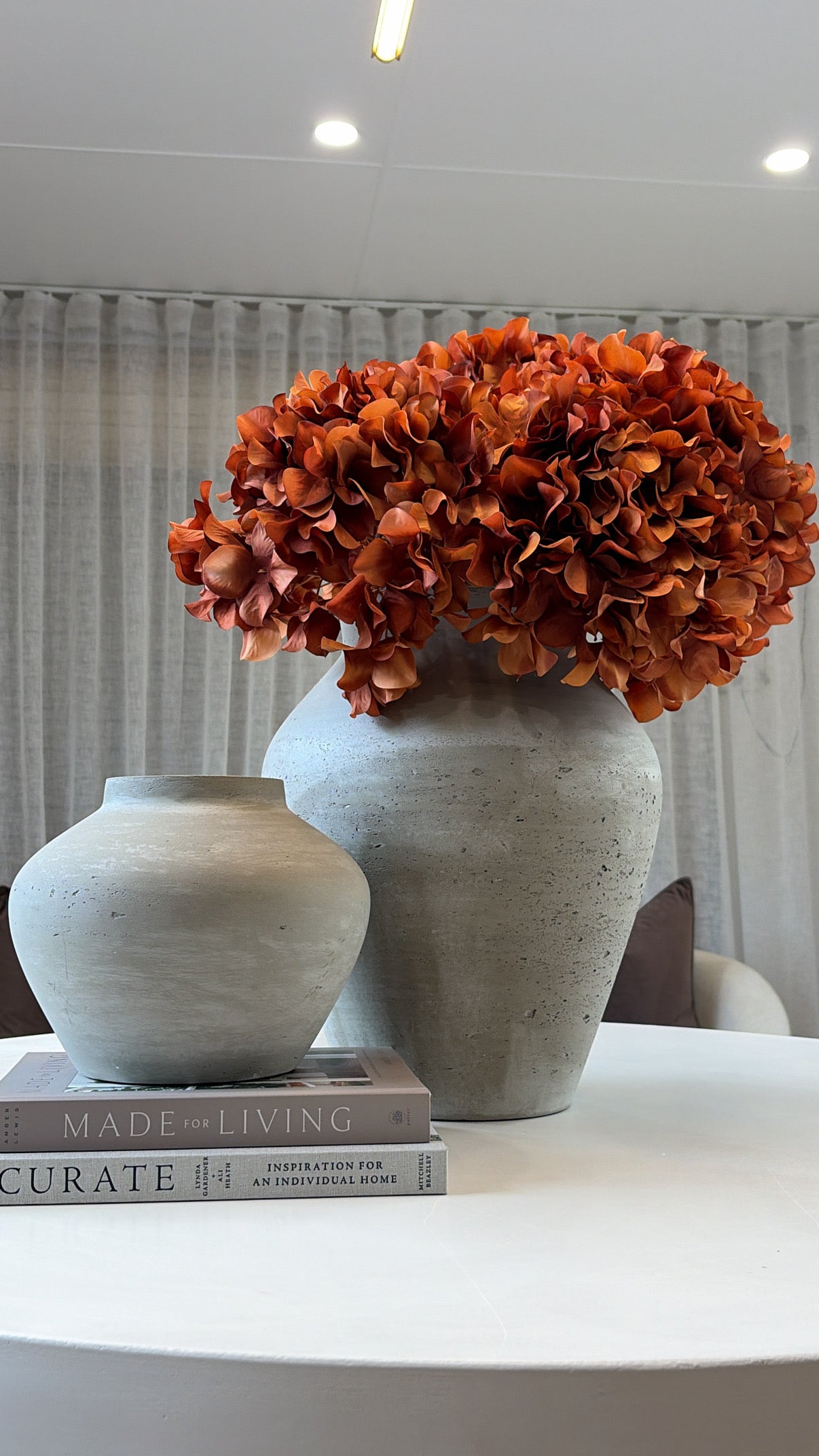 Toffee hydrangea