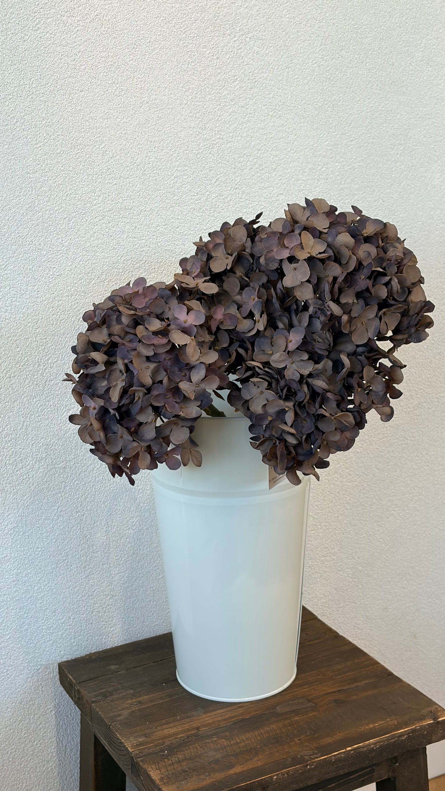 Licorice hydrangea