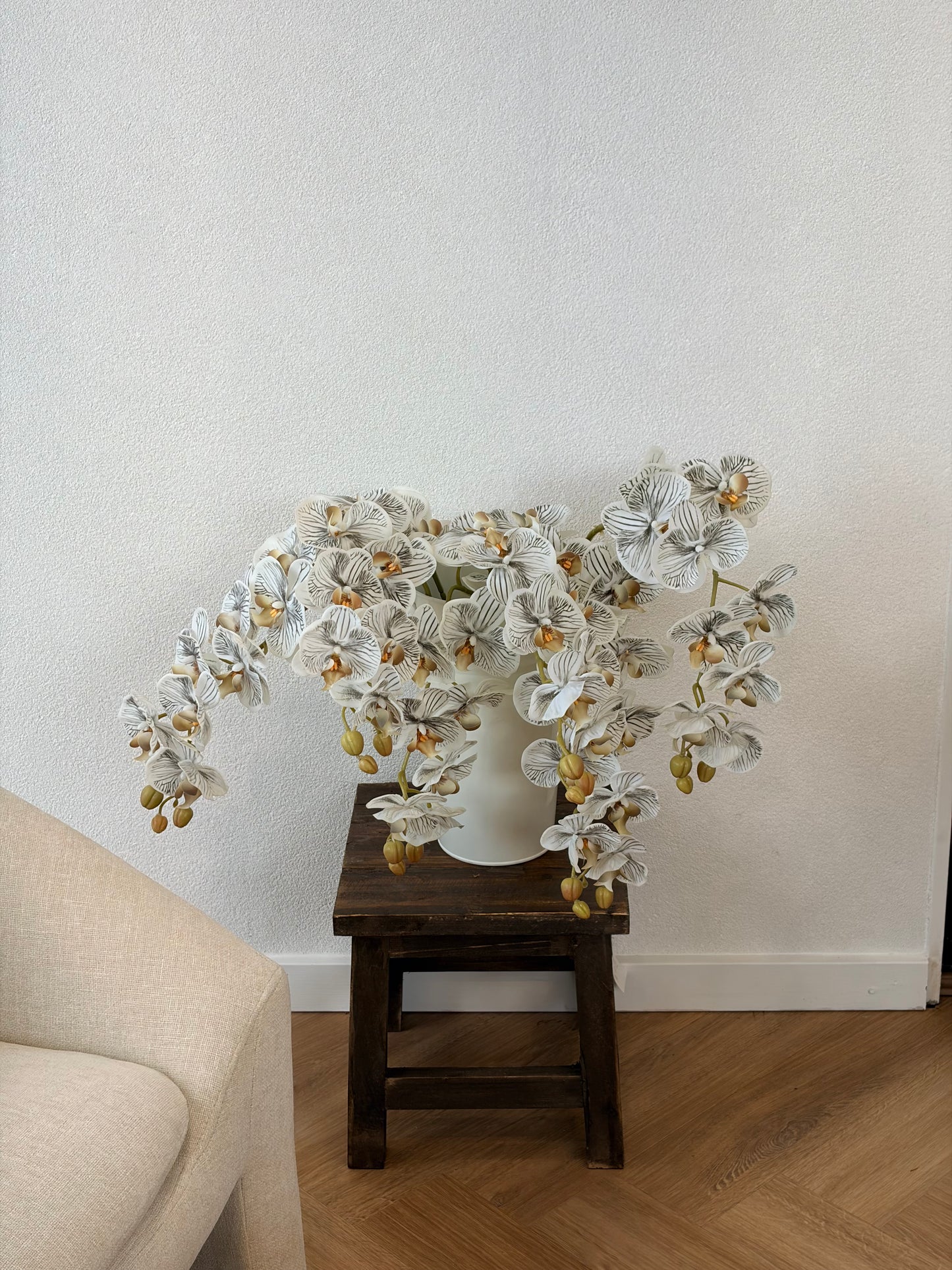 Black and white Orchid