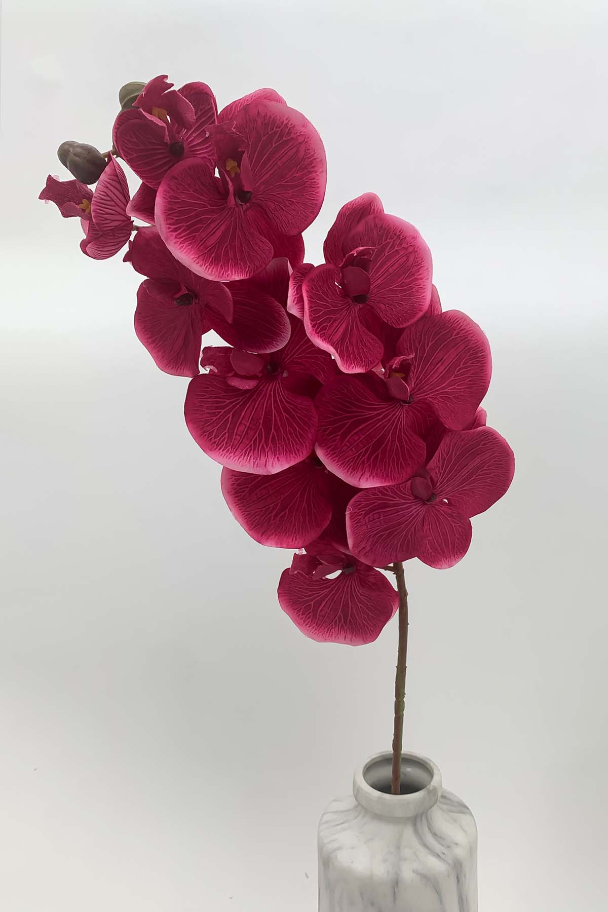 Hot Pink Large Orchid