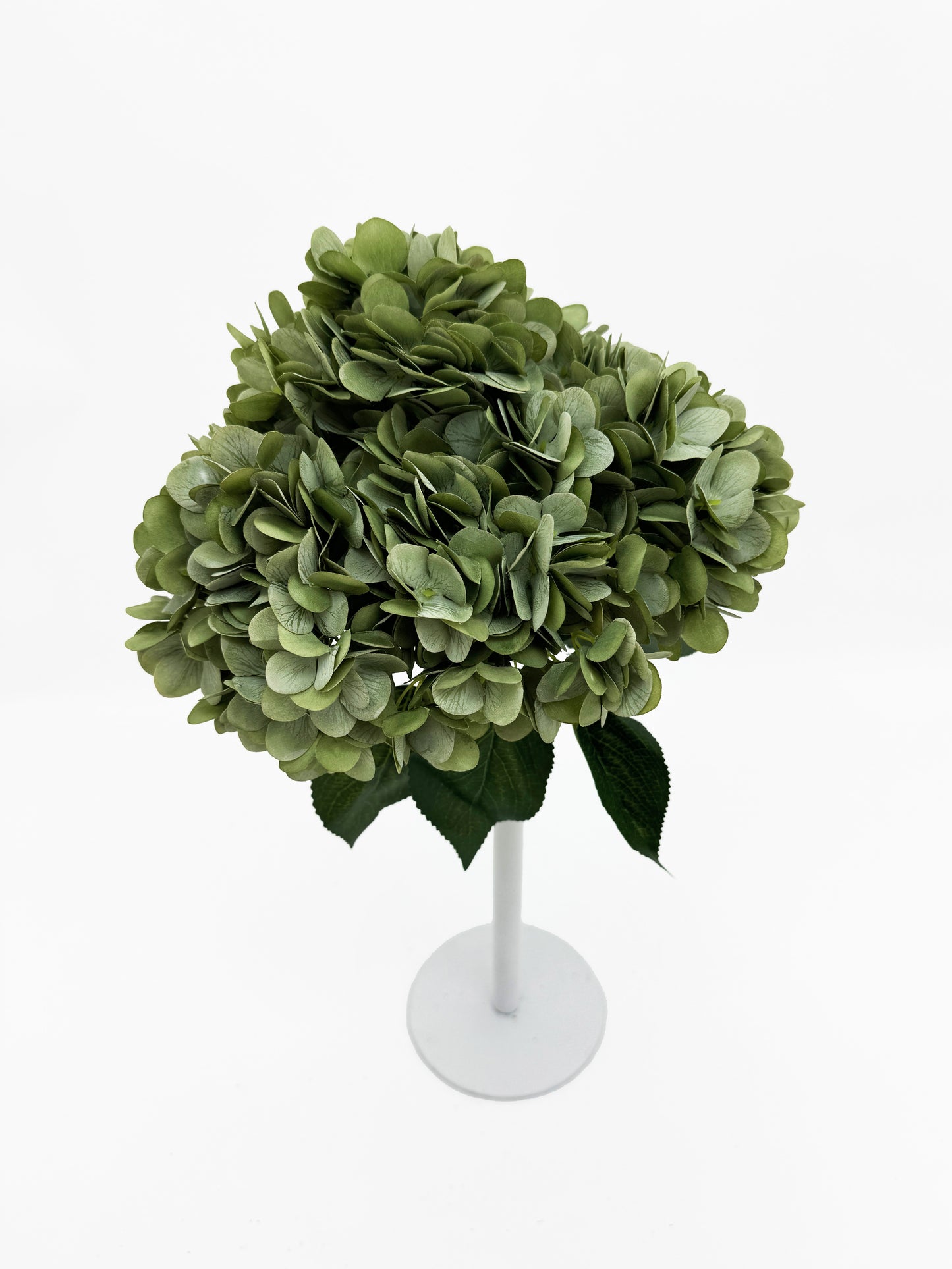 5 Heads Sage Green Hydrangea