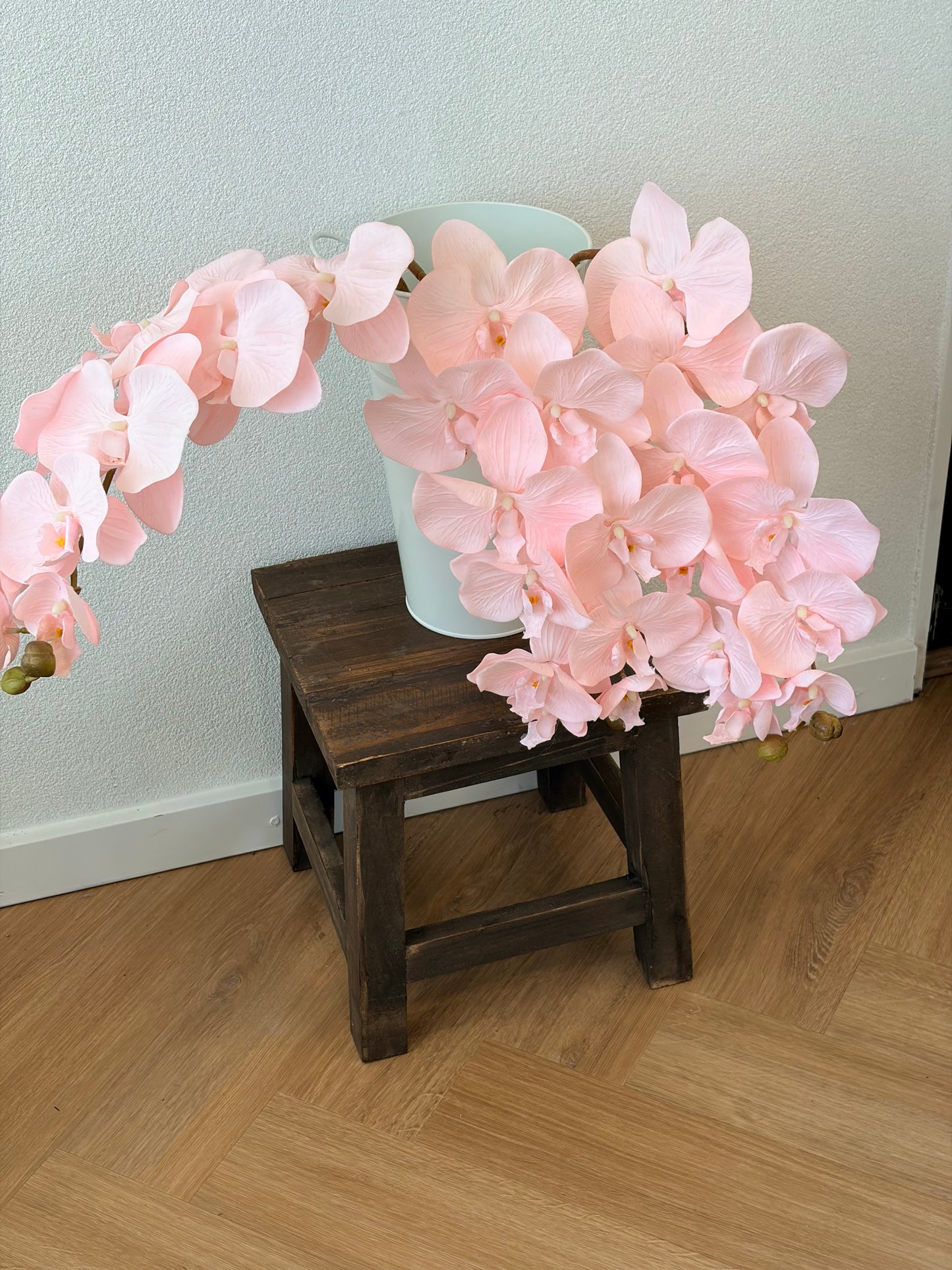 Baby pink orchid