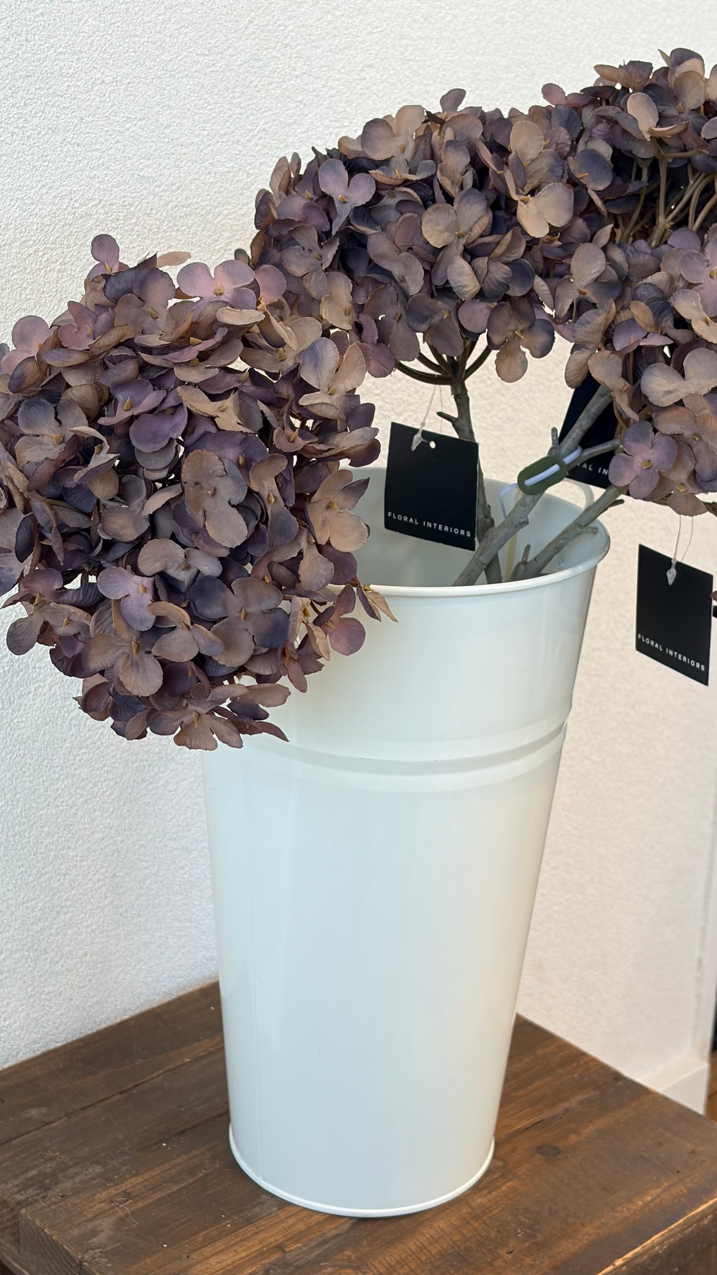 Licorice hydrangea