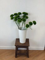 3 Heads Green Dianthus Spray
