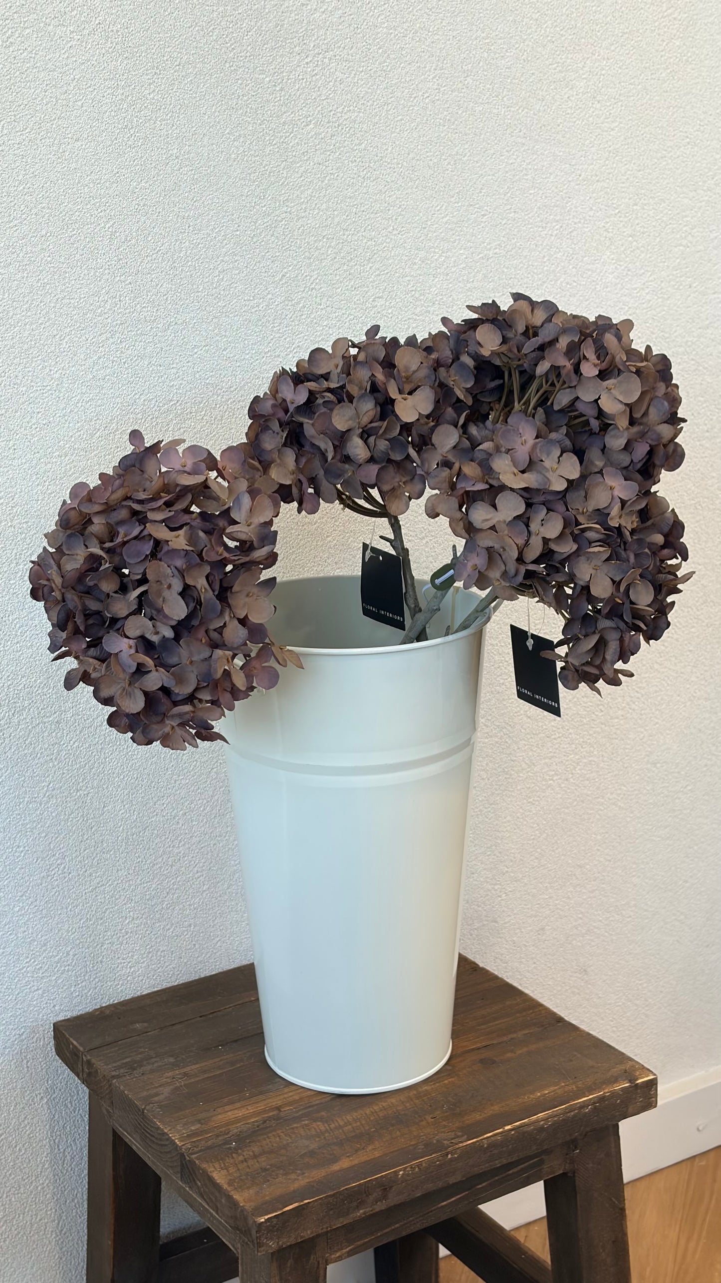 Licorice hydrangea