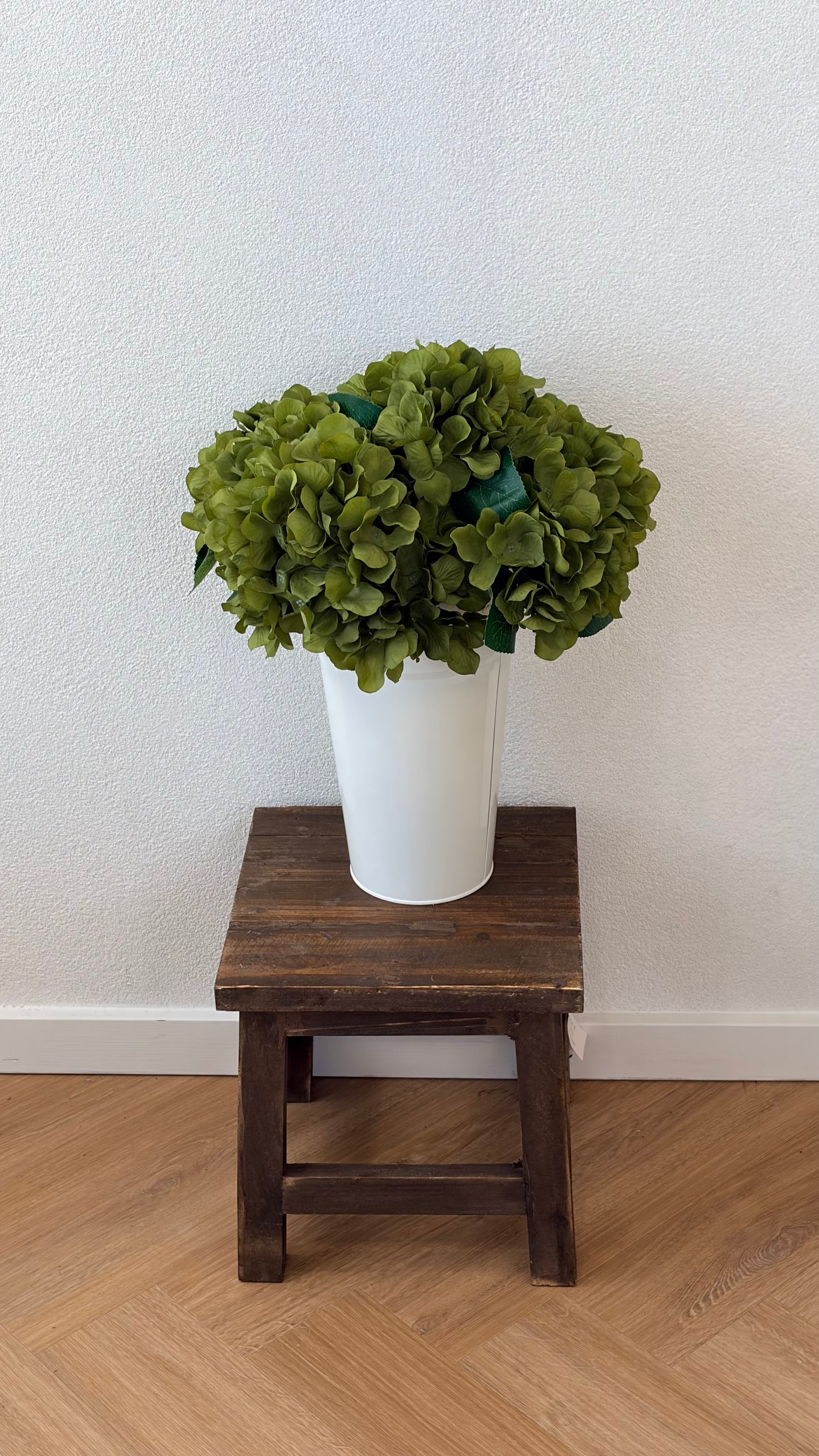 Green 5 head hydrangea