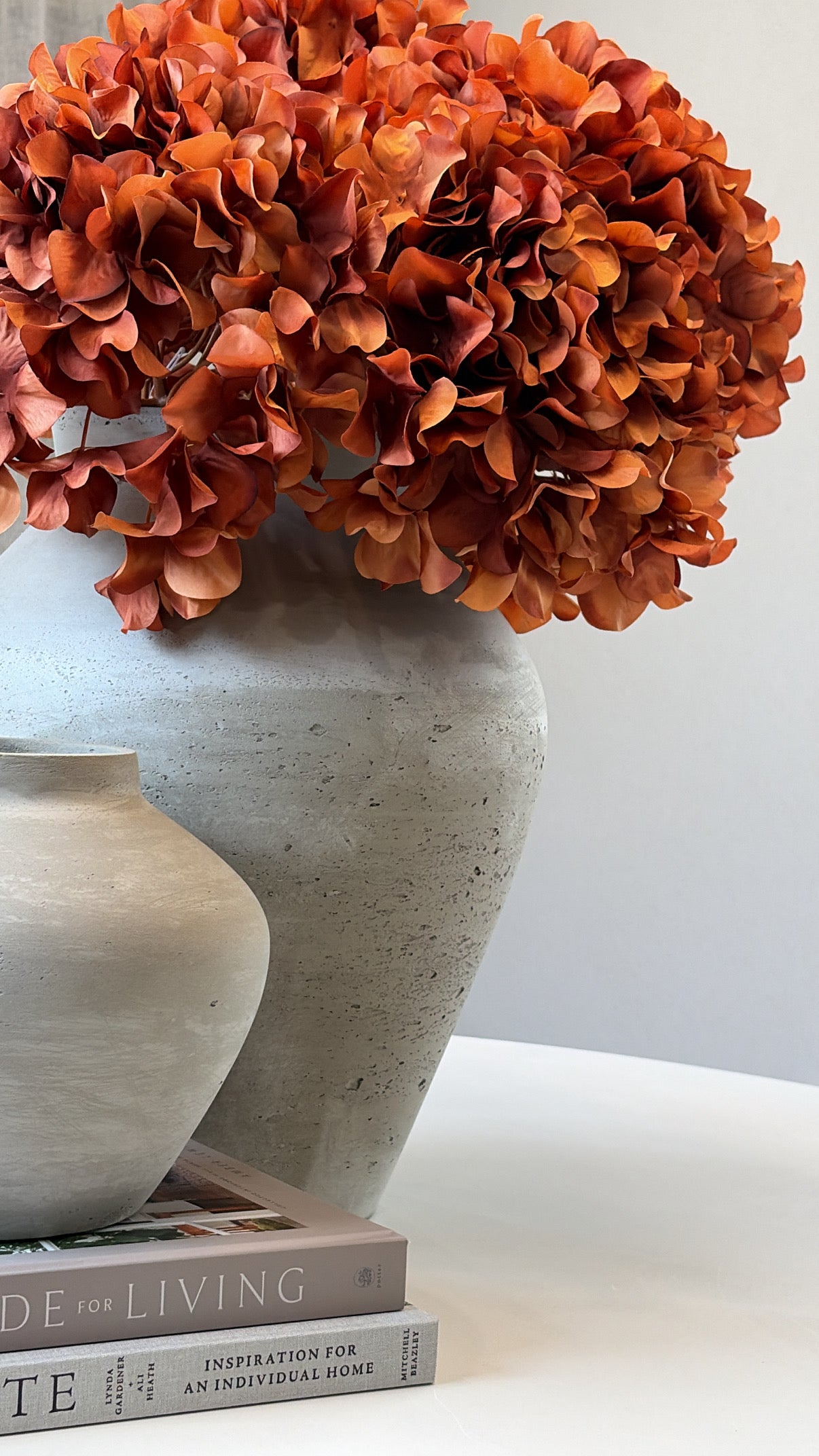 Toffee hydrangea