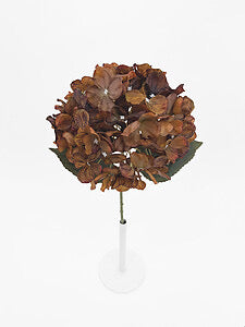 Rustic Hydrangea
