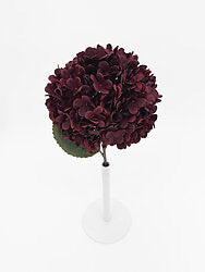 Burgundy Hydrangea