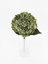 Green Large Hydrangea