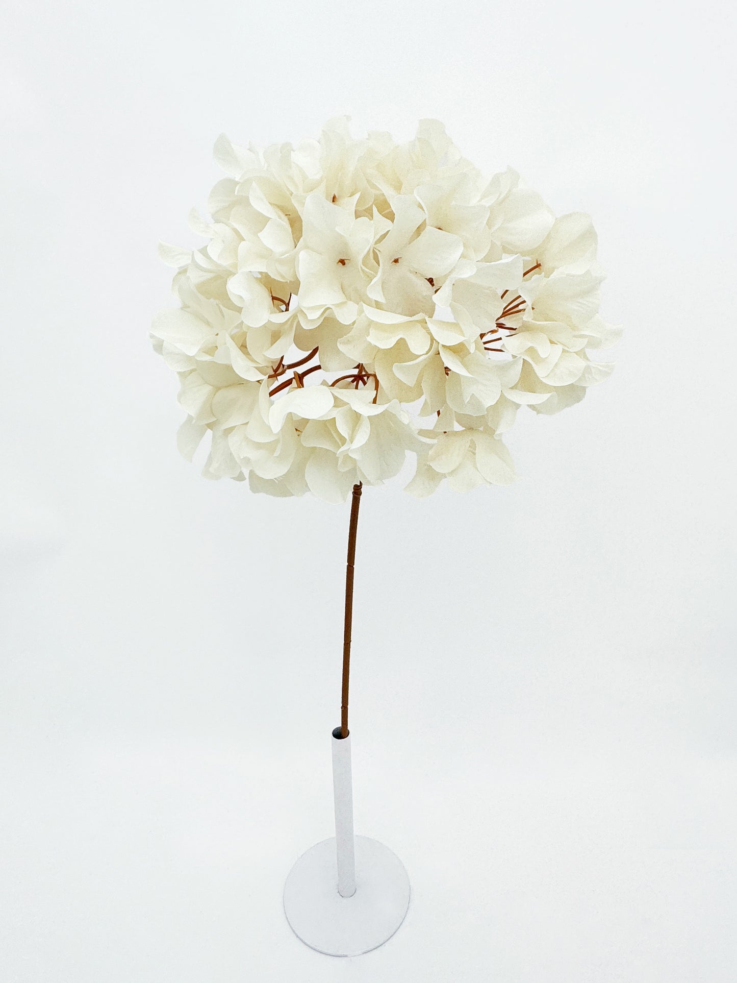 Cream Large Hydrangea