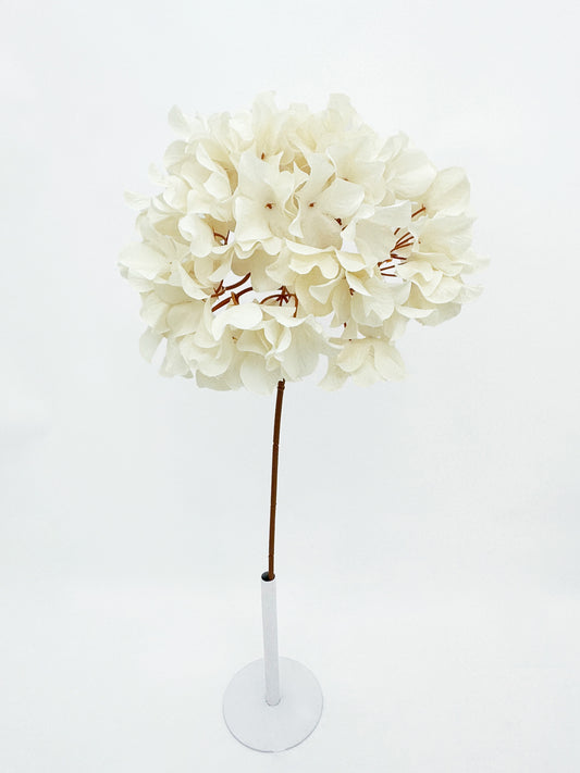 Cream Large Hydrangea