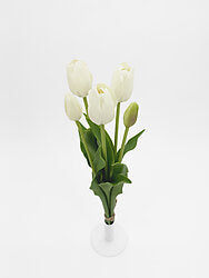 Tulip Bunch White
