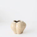 Nagio Vase