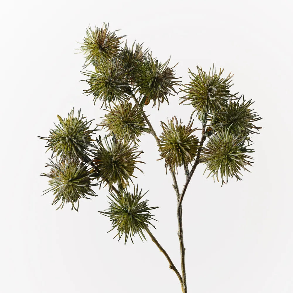 Thistle Globe Spray