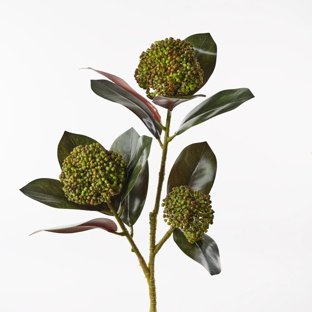 Magnolia Leaf Seed Spray