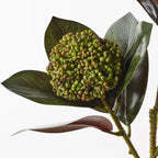 Magnolia Leaf Seed Spray