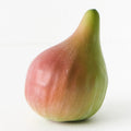 Fig