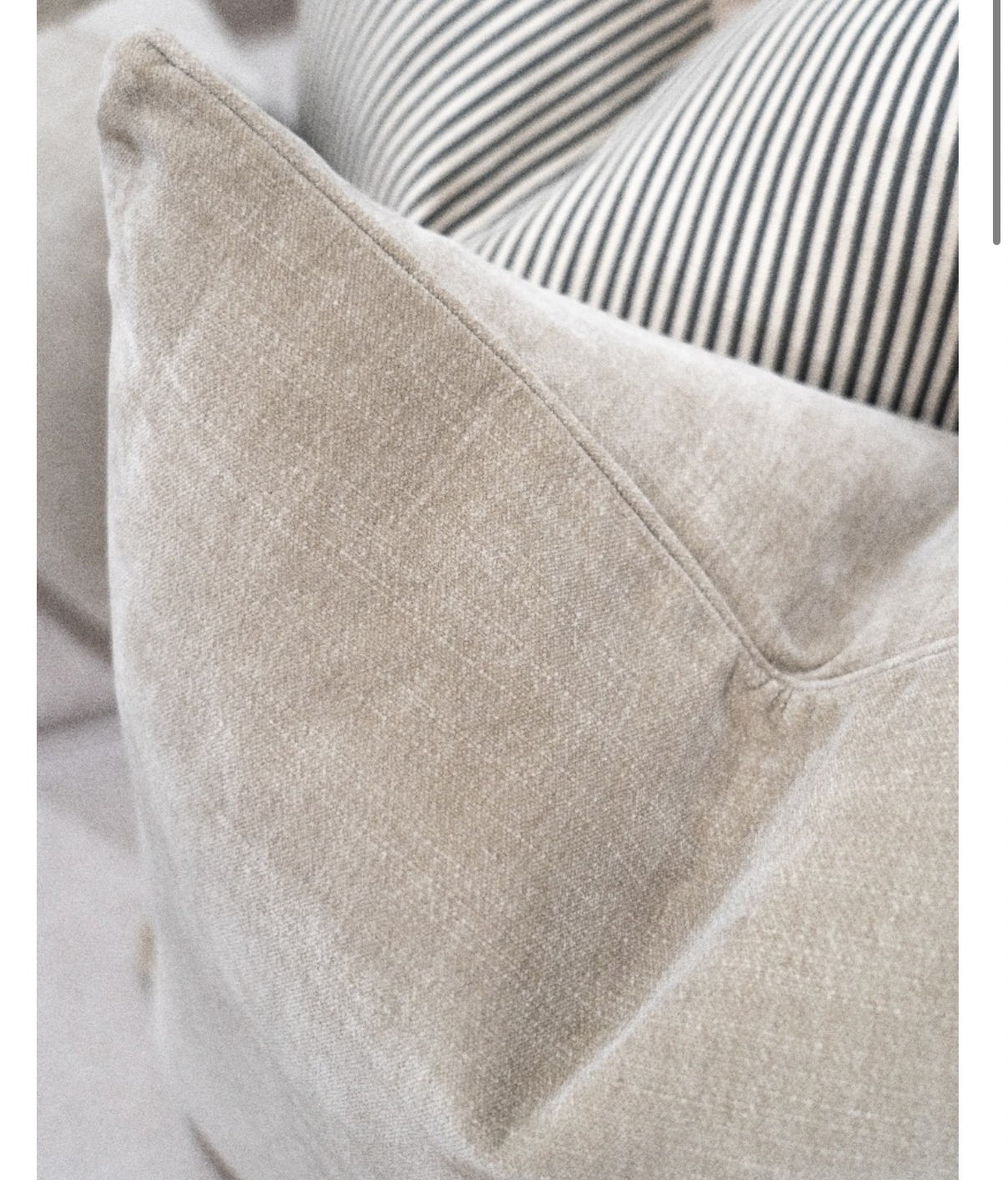 Amara 55x55CM Cushion W/FeatherIns