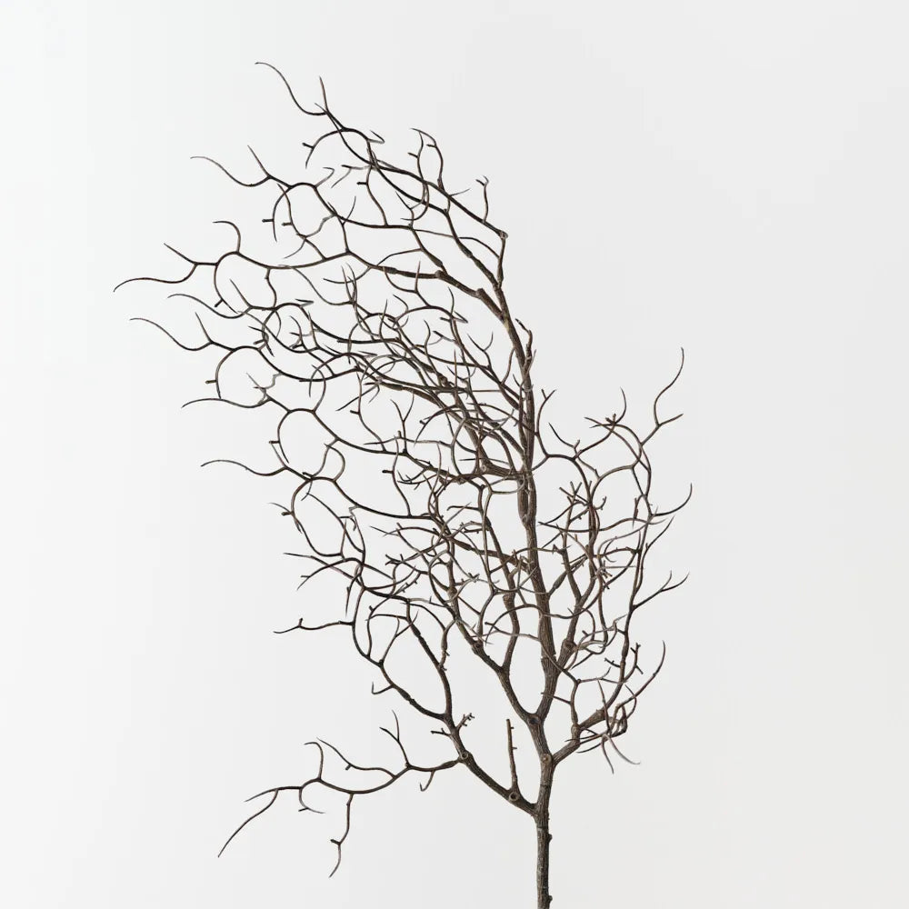 Twig Curly Spray