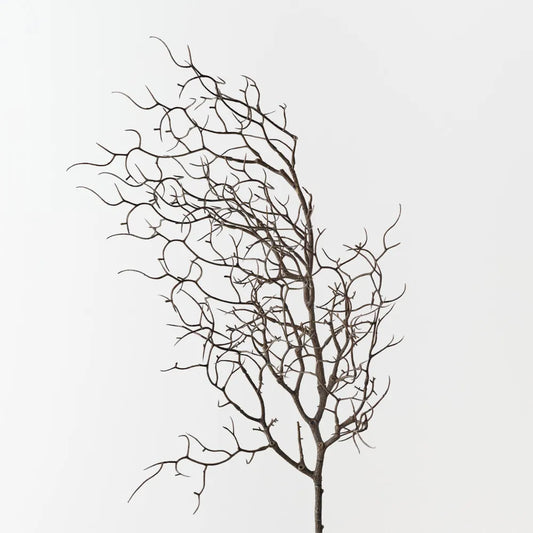Twig Curly Spray