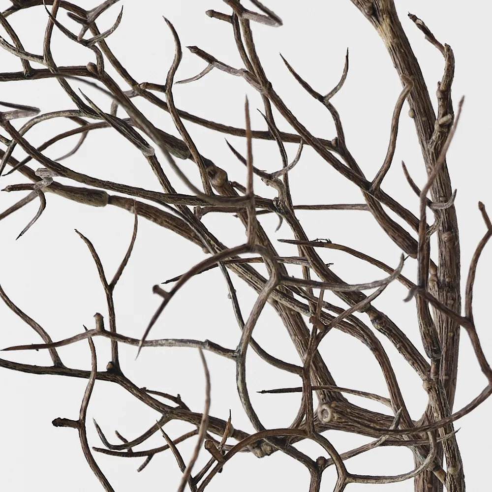 Twig Curly Spray