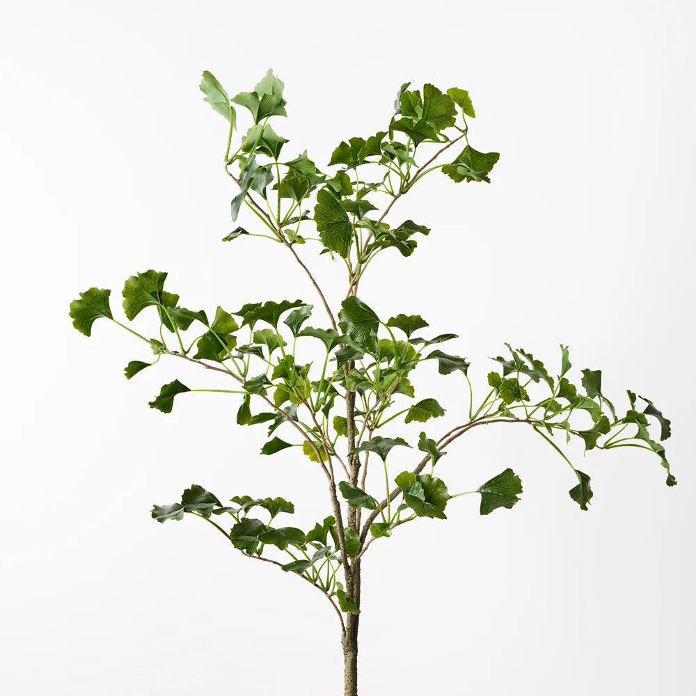 Gingko Leaf Spray