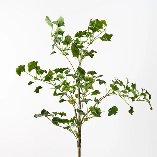 Gingko Leaf Spray