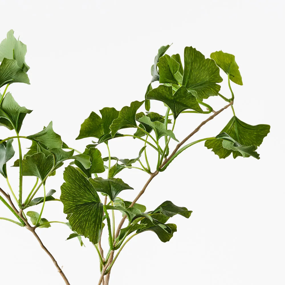 Gingko Leaf Spray