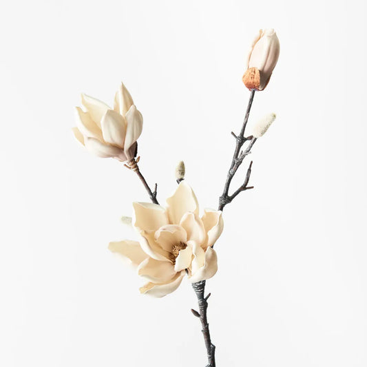Magnolia Japanese Spray
