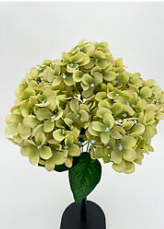 6 Heads Light Green Hydrangea