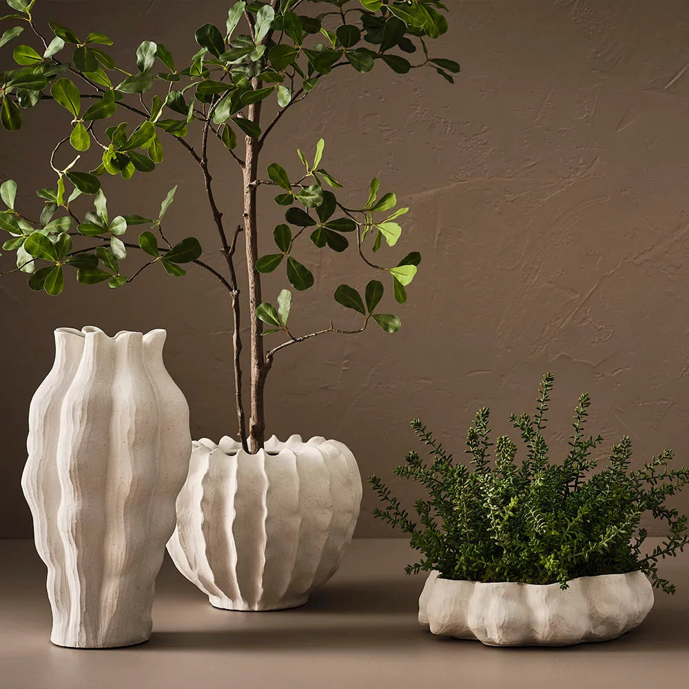 Zasha Pot Lrg