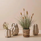 Rastina Vase Lrg