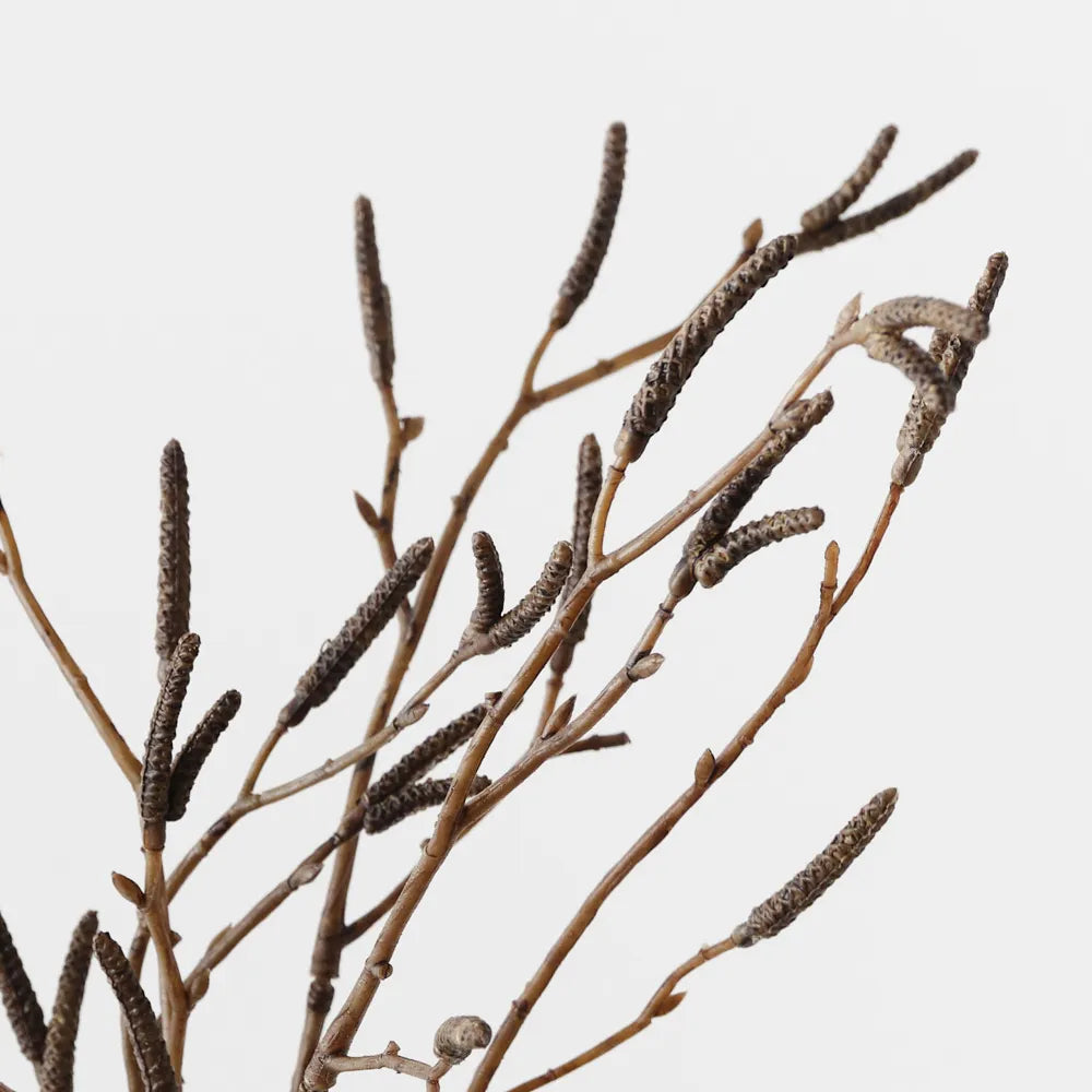 Birch Berry Bundle - Brown