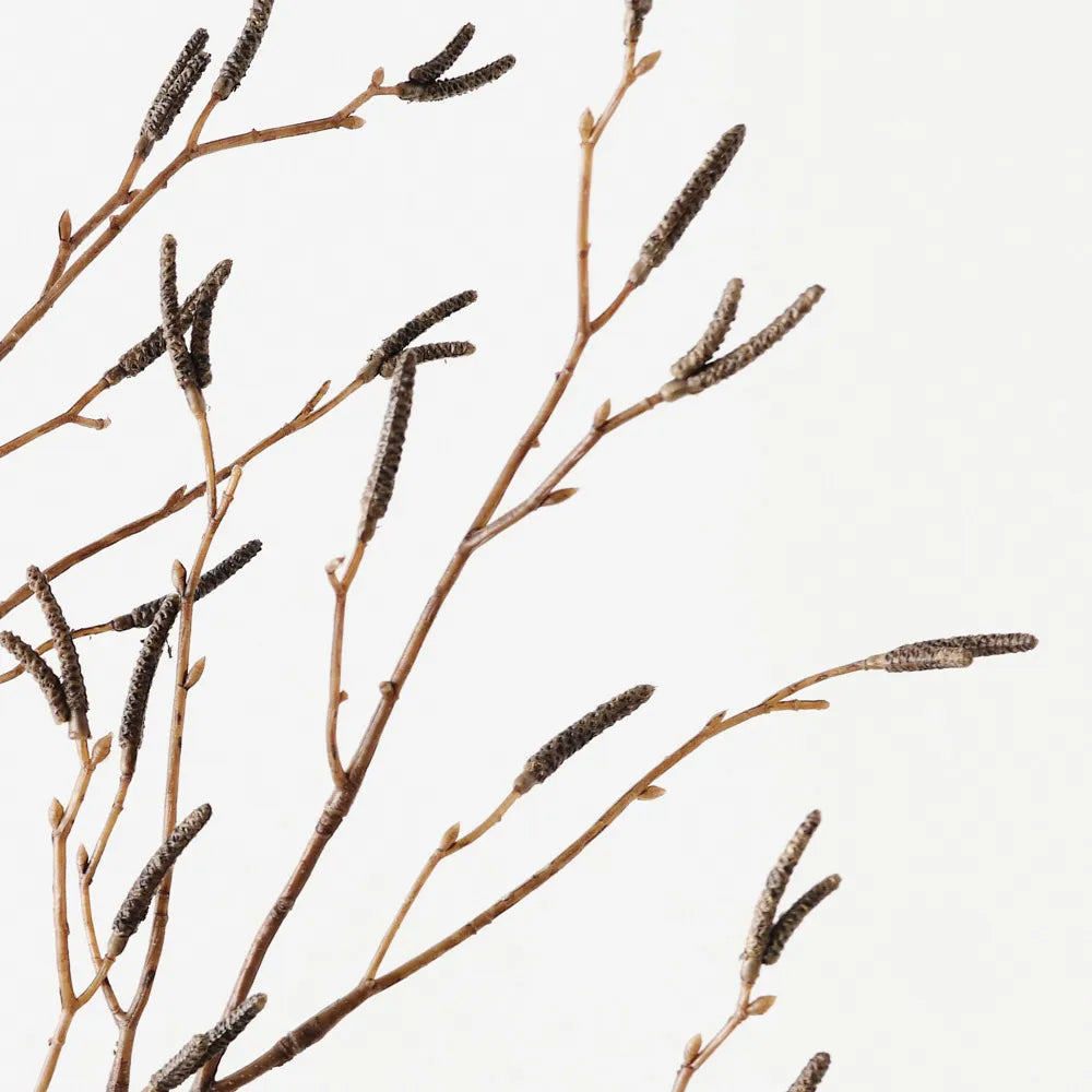 Birch Berry Spray - Brown
