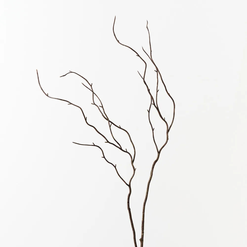 Curly Twig Spray - Brown