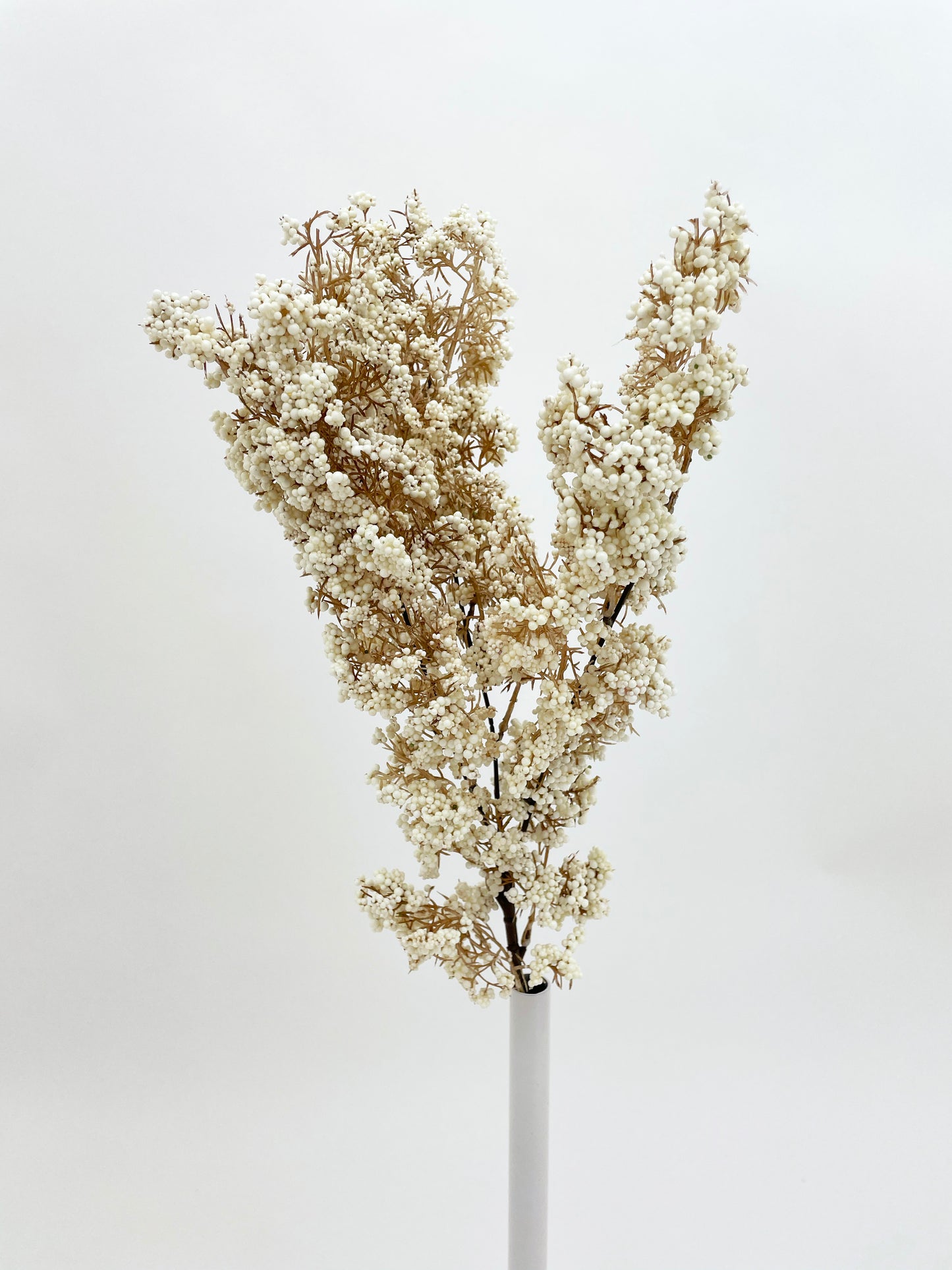 Large Dry Cream Berry Bunch