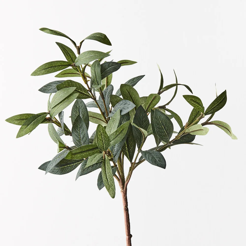 Olive Leaf Pick (w/o fruit)