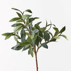 Olive Leaf Pick (w/o fruit)