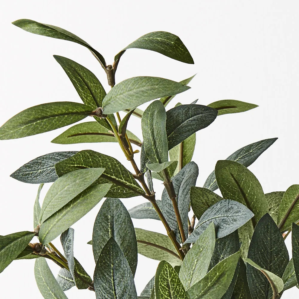 Olive Leaf Pick (w/o fruit)