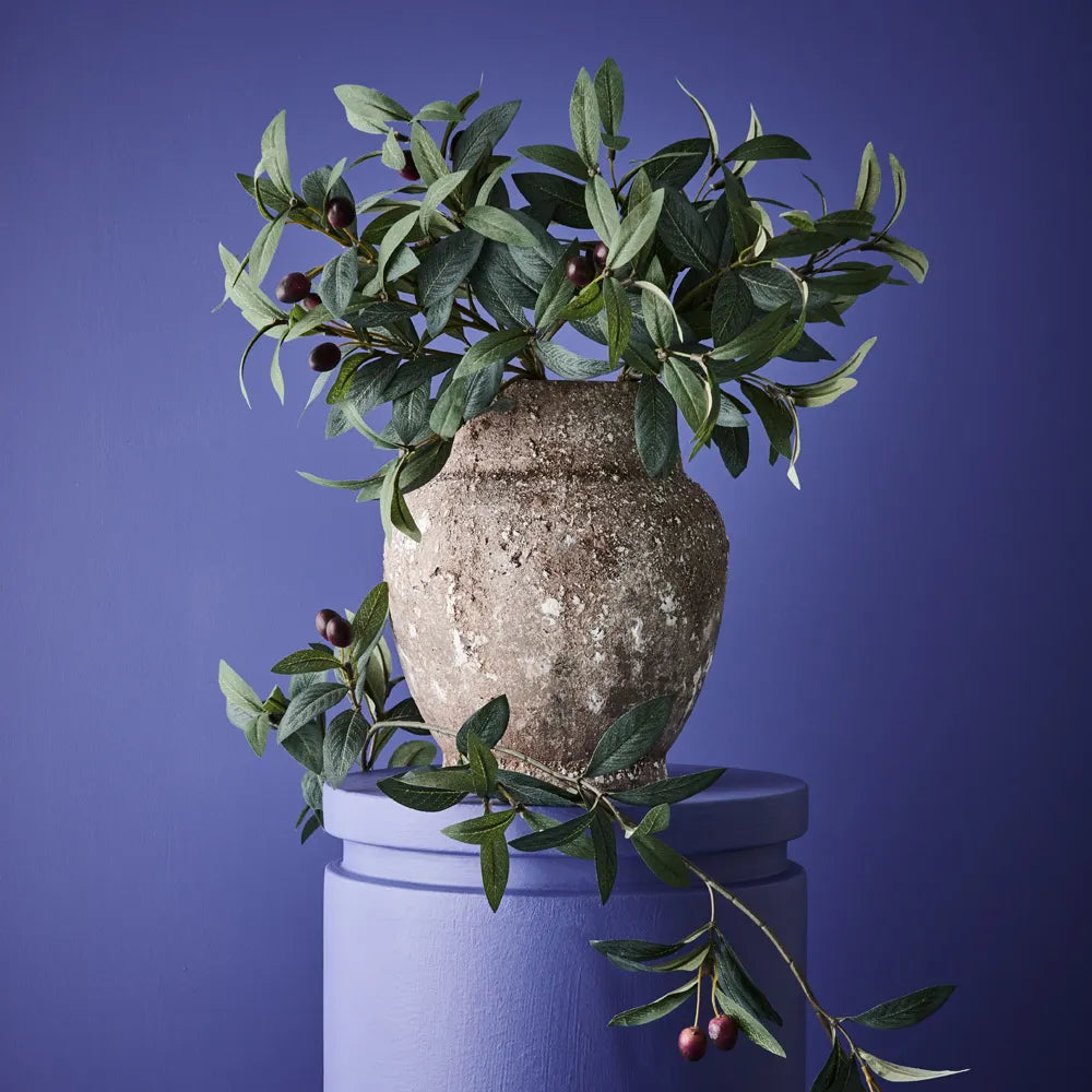 Olive Leaf Pick (w/o fruit)